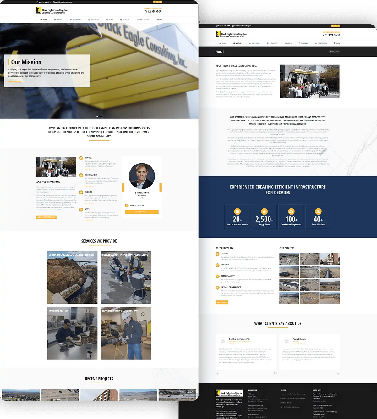 Portfolio Snapshot of Black Eagle Consulting Website