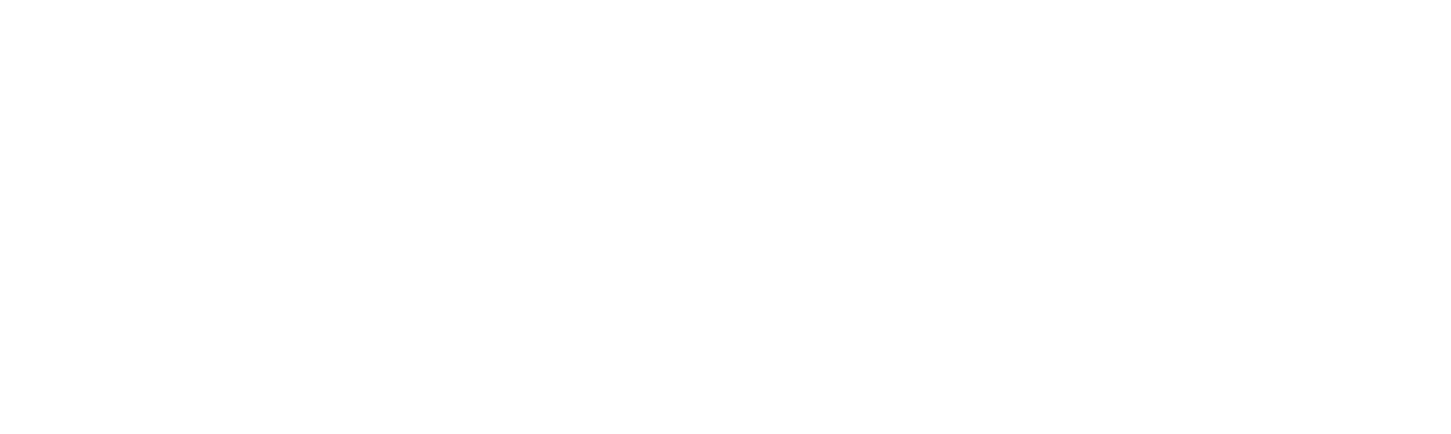 Web Design Company in Reno Nevada