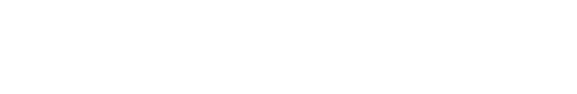 Affordable housing solutions for shelter and equality with The Reno Initiative logo.